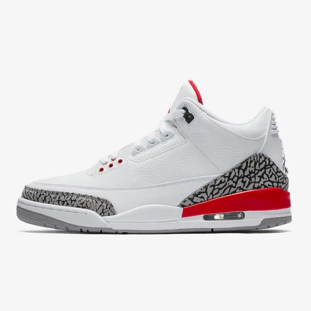 Air Jordan 3 Retro Haal Of Fame